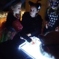 ANDRZEJKOWE SPOTKANIE Z CZAROWNICĄ I KOTEM (10)