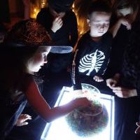 ANDRZEJKOWE SPOTKANIE Z CZAROWNICĄ I KOTEM (12)