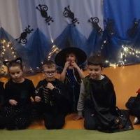 ANDRZEJKOWE SPOTKANIE Z CZAROWNICĄ I KOTEM (8)