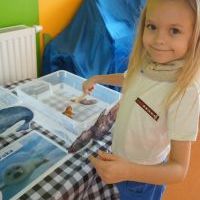W ARKTYCZNYCH WODACH (8)