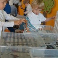W ARKTYCZNYCH WODACH (5)