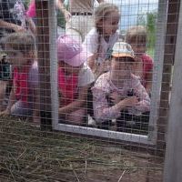 AGROSKAŁKA W CHACIE I W ZAGRODZIE (1)