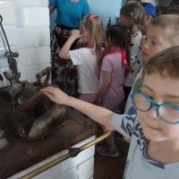 AGROSKAŁKA W CHACIE I W ZAGRODZIE (4)