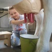 AGROSKAŁKA SKĄD SIĘ BIERZE MLEKO (2)