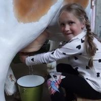 AGROSKAŁKA SKĄD SIĘ BIERZE MLEKO (4)