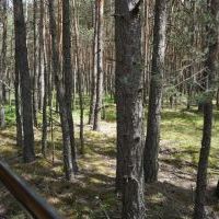 AGROSKAŁKA NA WESOŁO (12)