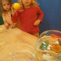 CO PŁYWA A CO TONIE (4)
