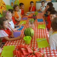 WAKACYJNE KUCHCIKOWO. ZRÓBMY SOBIE LODY! (16)