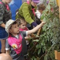 PASOWANIE NA SEZAMKA W LESIE MAŁYCH SKAUTÓW (1)