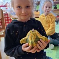 SKĄD SIĘ BIORĄ DYNIE (9)