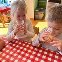 PYSZNY ZDROWY SOK JABŁKOWY (13)