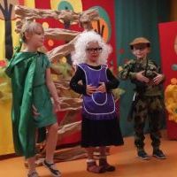 ZIELONY KAPTUREK I LEŚNE LUDKI (5)