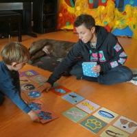 DOGOTERAPIA (2)
