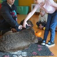DOGOTERAPIA (3)