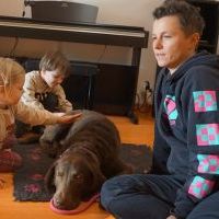 DOGOTERAPIA (4)