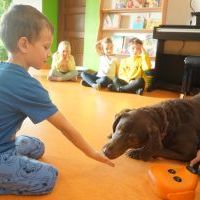DOGOTERAPIA (6)