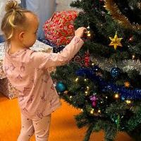 NA GAŁĄZCE CHOINKOWEJ (3)