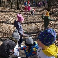 LEŚNE POSZUKIWANIA WIOSNY (3)