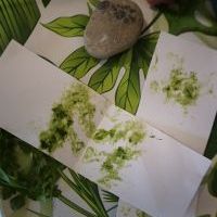 WIOSENNE EKSPERYMENTY (11)