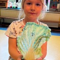 WIOSENNE EKSPERYMENTY (12)
