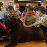 DOGOTERAPIA (1)