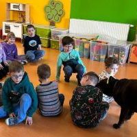 DOGOTERAPIA (5)