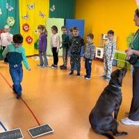 DOGOTERAPIA (6)