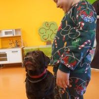 DOGOTERAPIA (9)