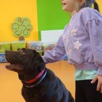 DOGOTERAPIA (12)
