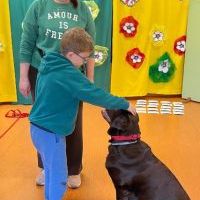 DOGOTERAPIA (14)