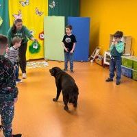 DOGOTERAPIA (16)