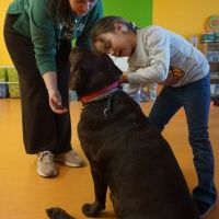 DOGOTERAPIA (19)