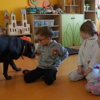 DOGOTERAPIA (20)