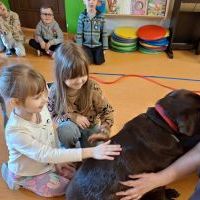 DOGOTERAPIA (1)