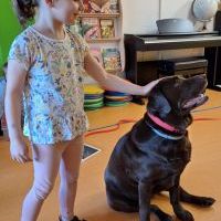 DOGOTERAPIA (2)