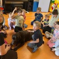 DOGOTERAPIA (10)