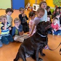 DOGOTERAPIA (13)