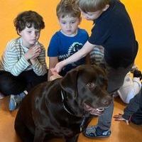 DOGOTERAPIA (15)