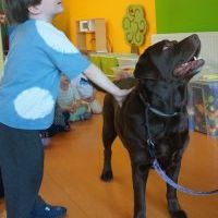 DOGOTERAPIA (18)
