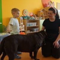 DOGOTERAPIA (19)