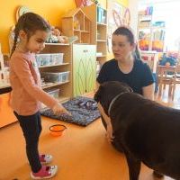DOGOTERAPIA (20)