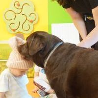 DOGOTERAPIA (1)