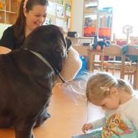 DOGOTERAPIA (2)