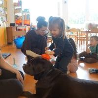 DOGOTERAPIA (5)