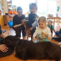 DOGOTERAPIA (6)