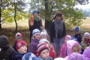 WIEWIÓRKA BASIA ZAPRASZA DO LASU