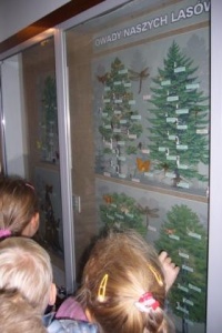 LEŚNA SALKA EDUKACYJNA