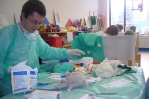 Szpital Pluszowego Misia