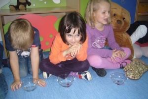 DZIEŃ PLUSZOWEGO MISIA
