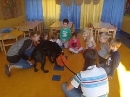 DOGOTERAPIA